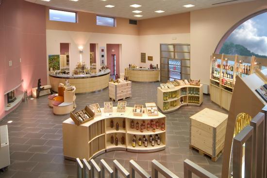 Distilleria Beccaris