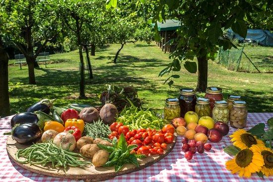 Agriturismo Colli Berici