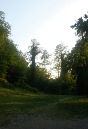 Parco delle Colline