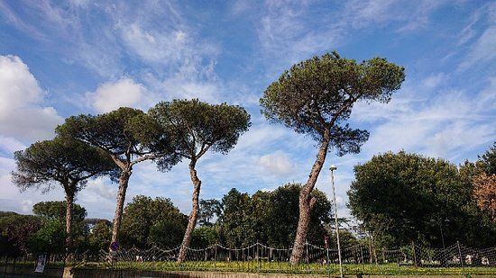 Parco SA Pozzi