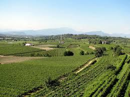 Azienda Agricola Giarola