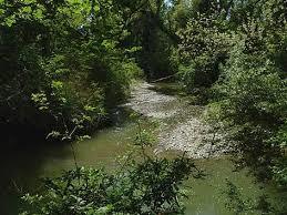 il Parco Fluviale del Molino Grande