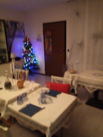 Casa Stardust