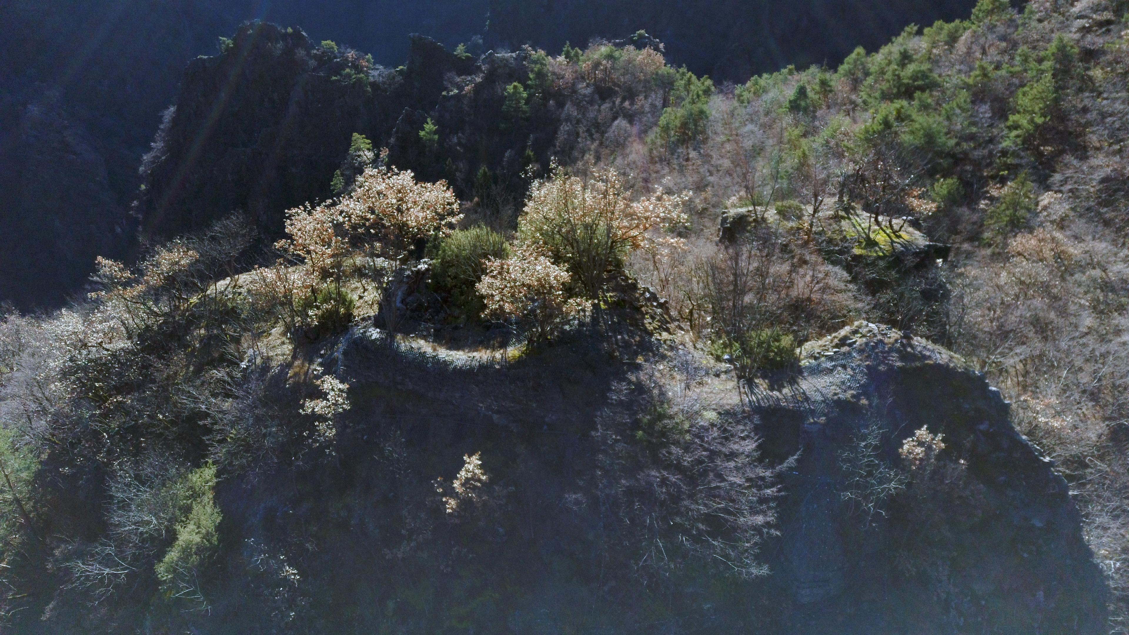 Ruine Afing
