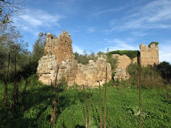 Necropoli Rupestri di San Giovenale e Terrone