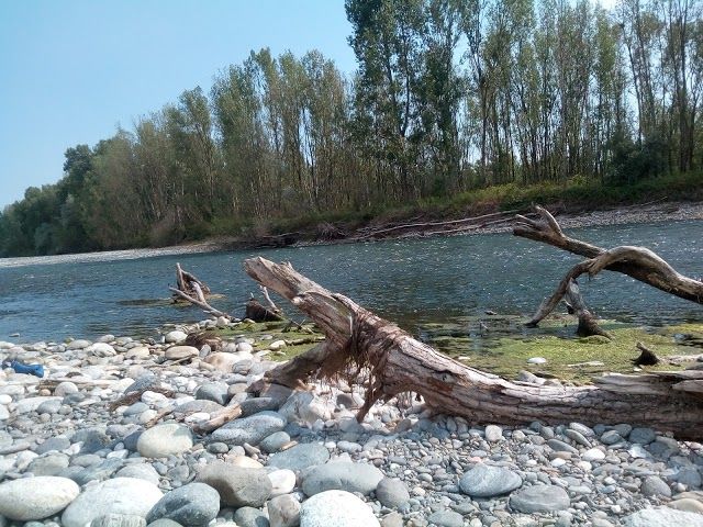 Parco del Ticino