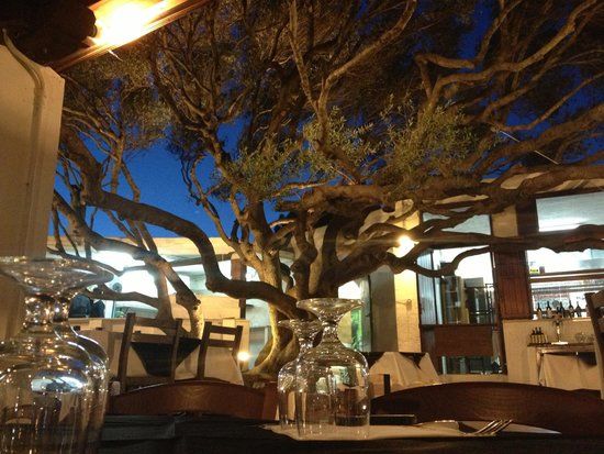 Camping Maddalena