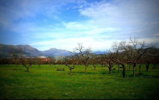 Parco Archeologico di Pontecagnano Faiano