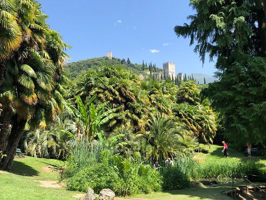 Arboreto di Arco