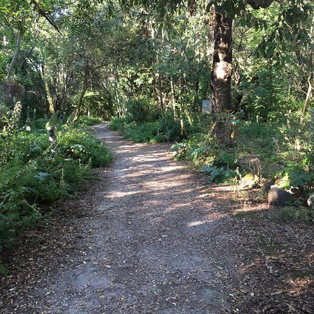 Parco Pineta Mirtina