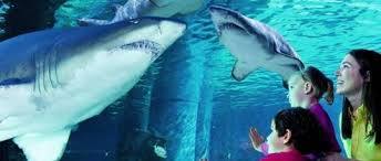 Acquario di Livorno