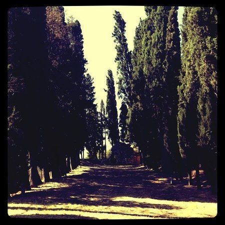 Tanella di Pitagora