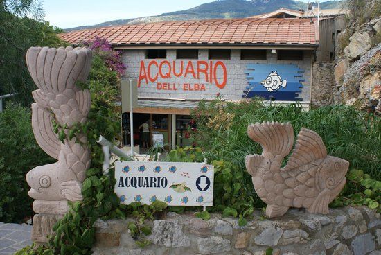Acquario dell'Isola d'Elba