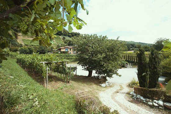 Tenuta Casa Virginia